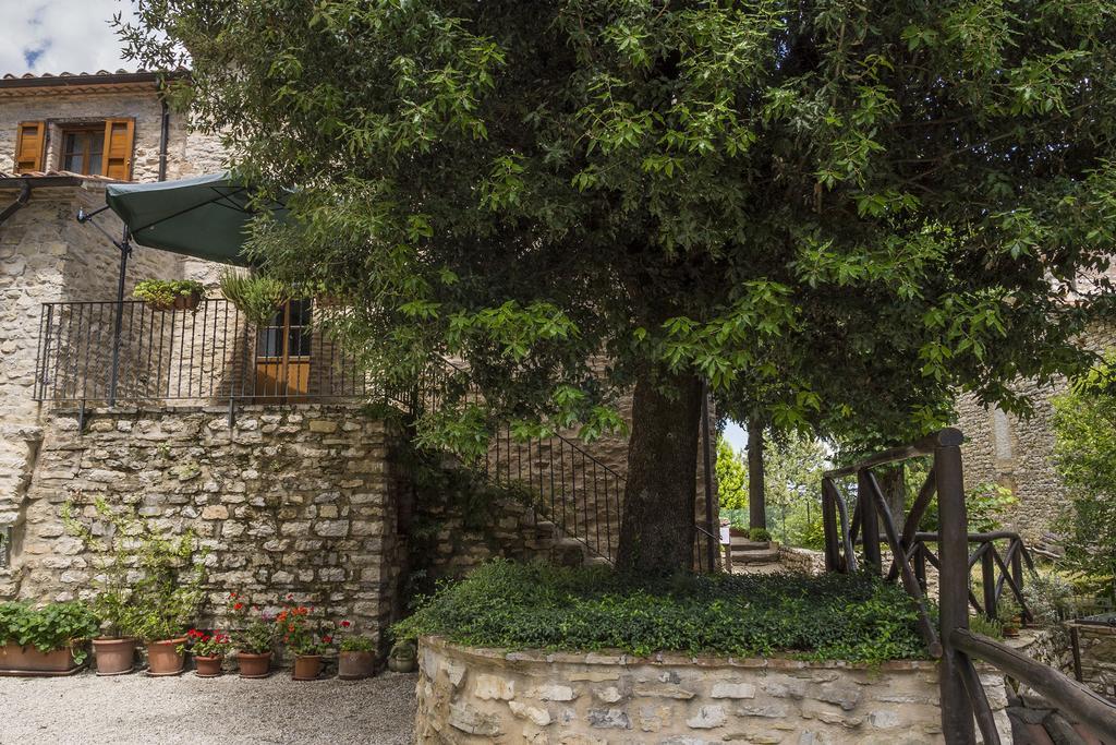 Agriturismo Monte Acuto Umbertide Quarto foto
